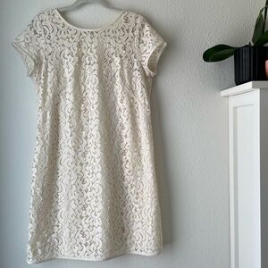 Loft Ivory Cream Lace Short Sleeve Dress Size 10